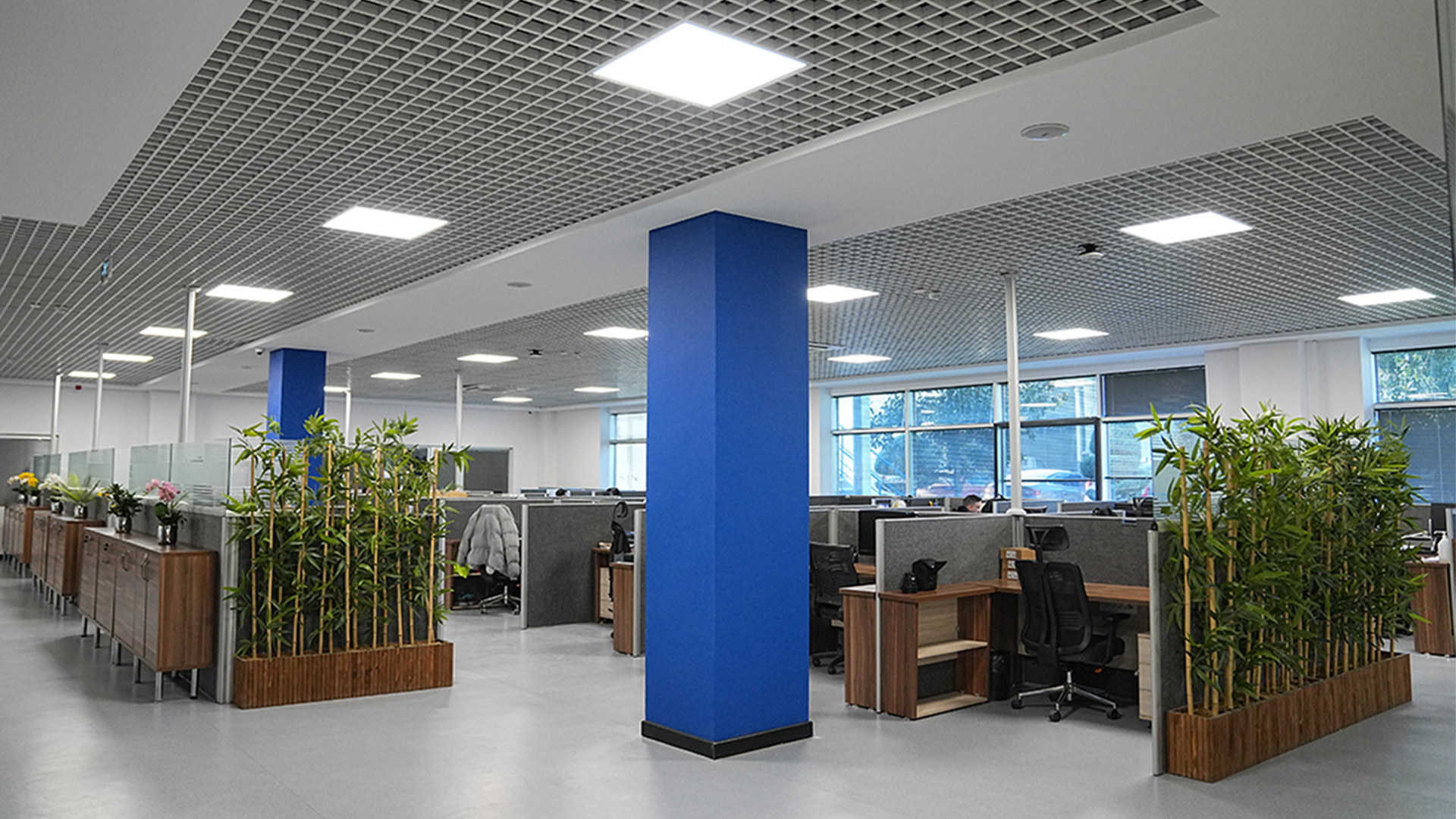 Quad Plus — 3